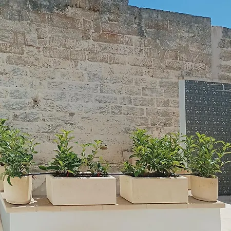 La Bella Estate Гостевой дом Нардо